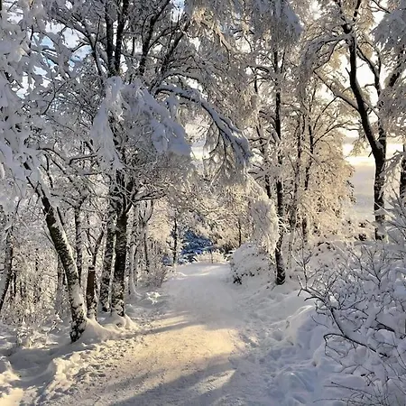 Floor With Mountain View, Terrace 22sqm, Free Parking Apartmán *